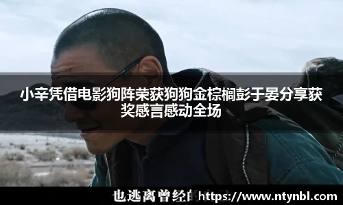 小辛凭借电影狗阵荣获狗狗金棕榈彭于晏分享获奖感言感动全场